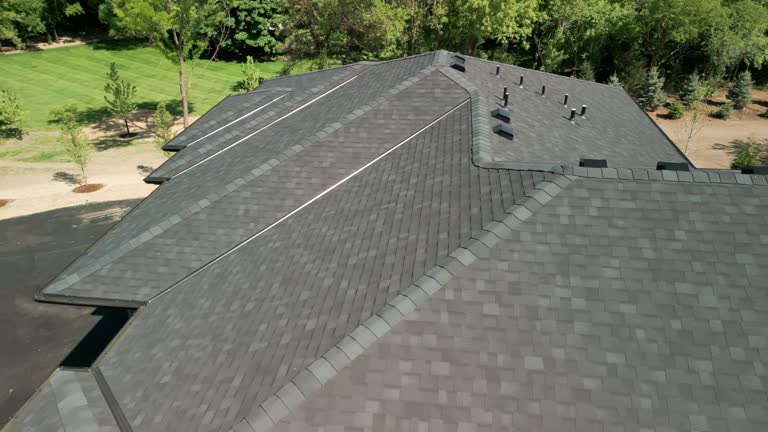 Best Solar Panel Roofing Installation  in Bellair Meadowbrook Terrace, FL